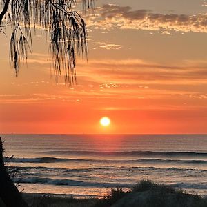 SUPERIOR STUDIO Biosphere Sunset View